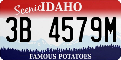 ID license plate 3B4579M
