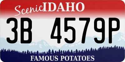 ID license plate 3B4579P