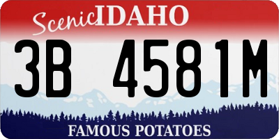 ID license plate 3B4581M