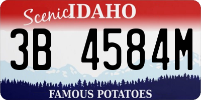 ID license plate 3B4584M