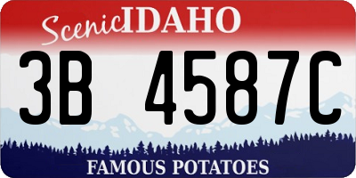 ID license plate 3B4587C