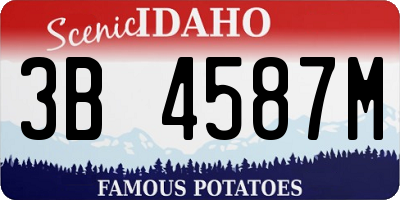 ID license plate 3B4587M