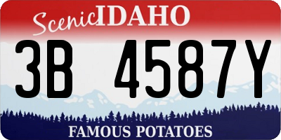 ID license plate 3B4587Y