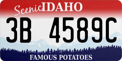 ID license plate 3B4589C