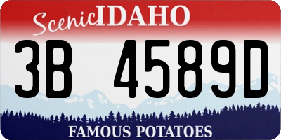 ID license plate 3B4589D