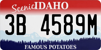 ID license plate 3B4589M