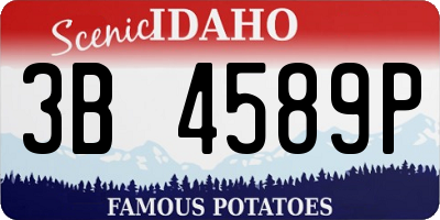 ID license plate 3B4589P