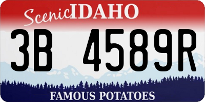 ID license plate 3B4589R