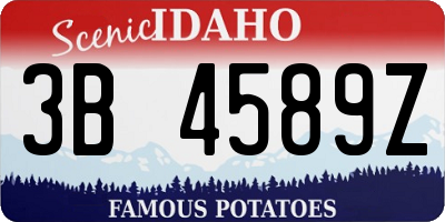 ID license plate 3B4589Z