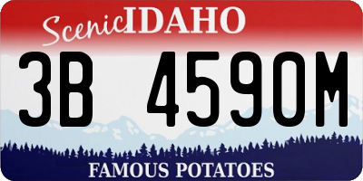 ID license plate 3B4590M