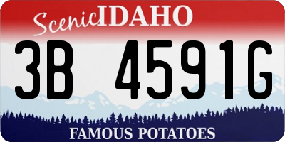 ID license plate 3B4591G