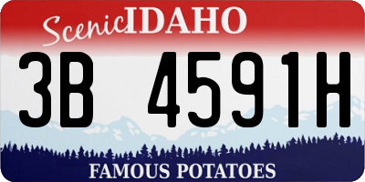 ID license plate 3B4591H