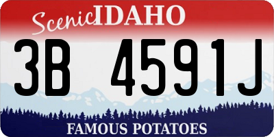 ID license plate 3B4591J