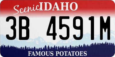 ID license plate 3B4591M