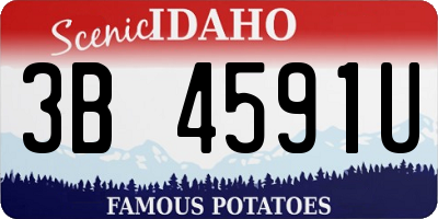 ID license plate 3B4591U