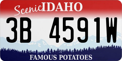 ID license plate 3B4591W
