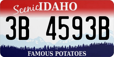 ID license plate 3B4593B