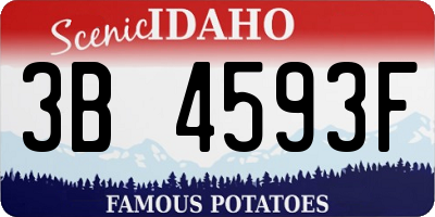 ID license plate 3B4593F