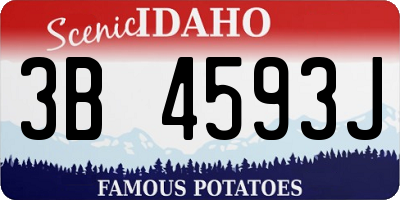 ID license plate 3B4593J