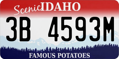 ID license plate 3B4593M