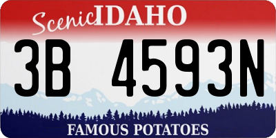 ID license plate 3B4593N