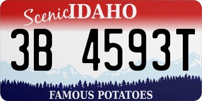 ID license plate 3B4593T