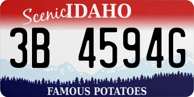 ID license plate 3B4594G