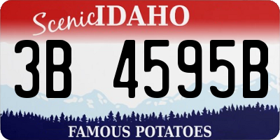 ID license plate 3B4595B