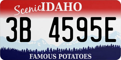 ID license plate 3B4595E