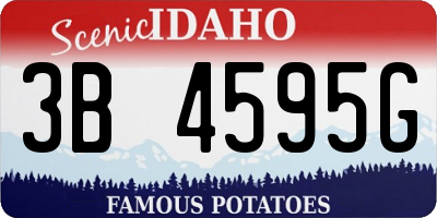 ID license plate 3B4595G