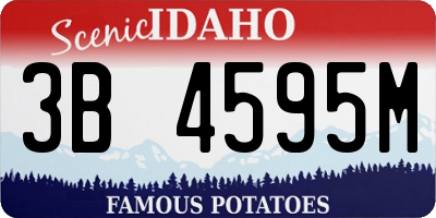 ID license plate 3B4595M