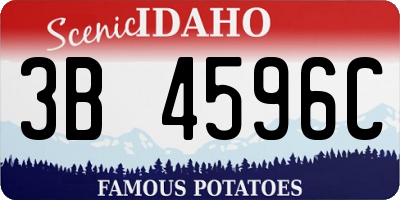 ID license plate 3B4596C