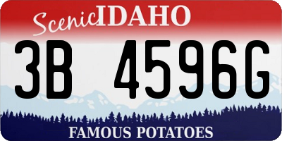 ID license plate 3B4596G