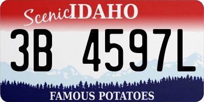 ID license plate 3B4597L