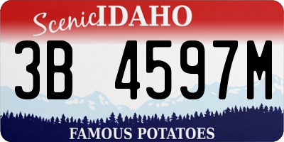 ID license plate 3B4597M
