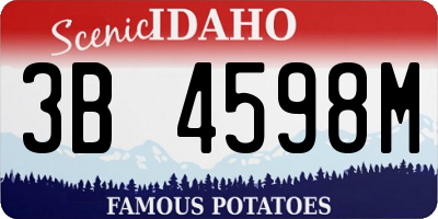 ID license plate 3B4598M