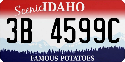 ID license plate 3B4599C