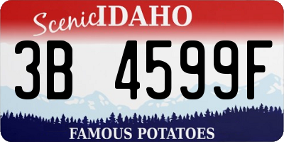 ID license plate 3B4599F
