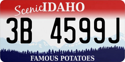 ID license plate 3B4599J