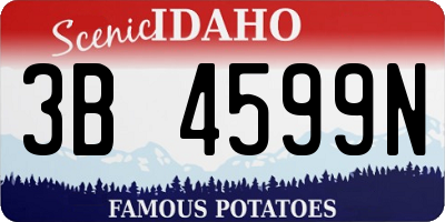 ID license plate 3B4599N