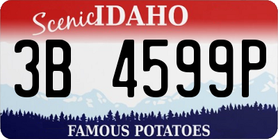 ID license plate 3B4599P