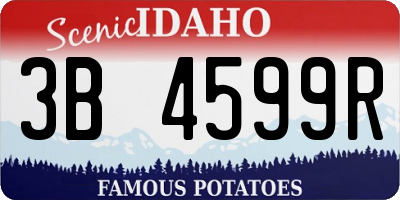 ID license plate 3B4599R