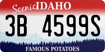 ID license plate 3B4599S