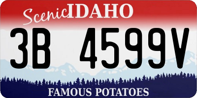 ID license plate 3B4599V