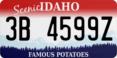 ID license plate 3B4599Z