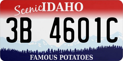 ID license plate 3B4601C