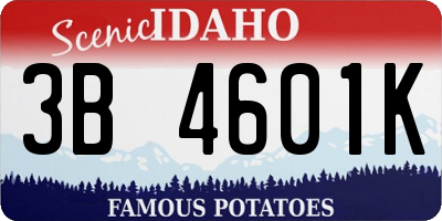 ID license plate 3B4601K