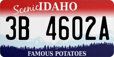 ID license plate 3B4602A
