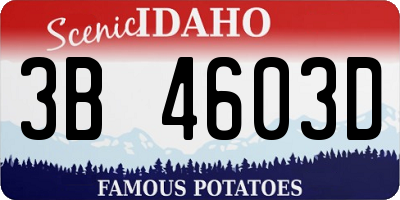 ID license plate 3B4603D