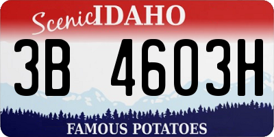 ID license plate 3B4603H